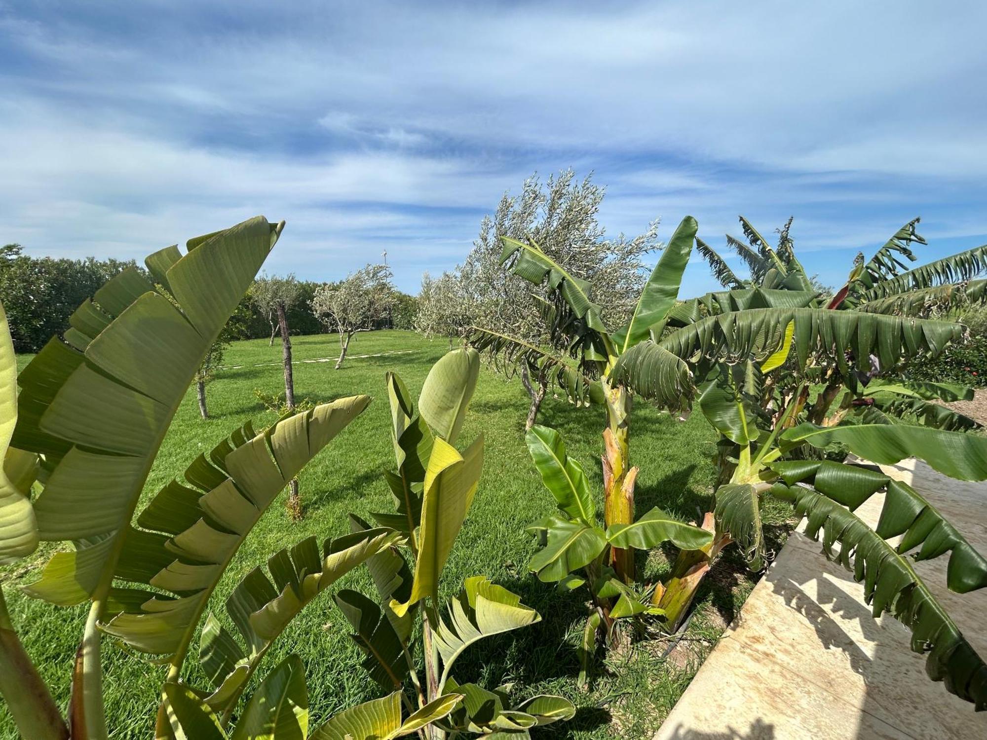 Baglio Il Gelso E L'Ulivo Appartamento Il Fico Noto Exterior photo